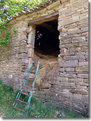 An outbuilding on the farm of Golgoricki Dol