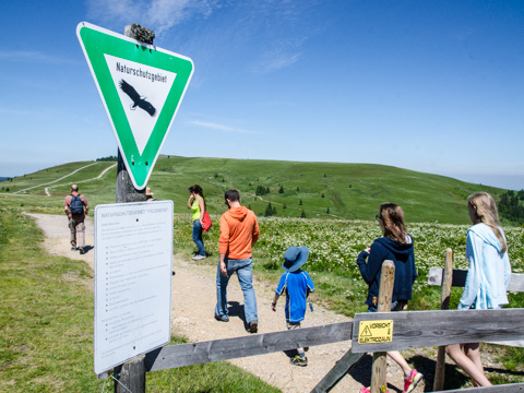 The trail to the top of the Feldberg