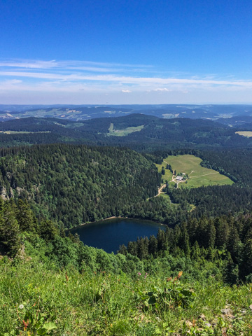 A view over the Feldsee and Southern Black Forest