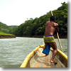Expert Embera boatman Olmedo helps pole his up piragua (dugout canoe) up the Rio Chagres through the Panamanian jungle.
