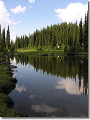 Heather Lake high in Mt. Revelstoke National Park in British Columbia, Canada.