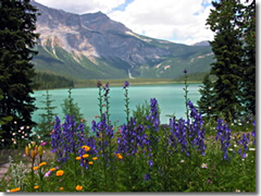 Emerald Lake in Yoho National Park in British Columbia, Canada.