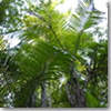 DSCN6858