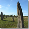 DSCN6841