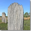 DSCN6832