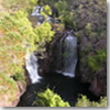 DSCN6842