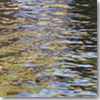 DSCN6851
