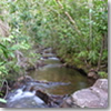 DSCN6857