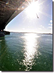 Bungy jumping off the Auckland Bridge