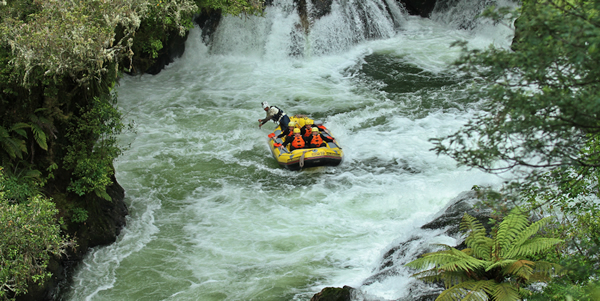 Rafting to Kaituna Falls in New Zealand