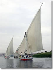 Feluccas circling Elephantine Island in the Nile at Aswan, Egypt.