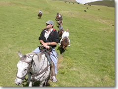 Fancy a horseback trek in Hawaii? Specialty Travel Index can fix you up with the Hawaii Ecotourim Association