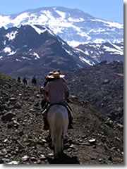Arriero (Chilean cowboy) guides lead horseback treks through the Andes Mountains on the Chile-Argentina border.