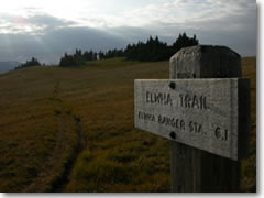 The Elwha Trail is just one hiking option from the Huricane Ridge area of Olympic National Park