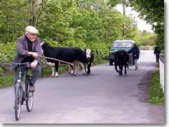 In Ireland, sometimes even the road signs are in Gaelic