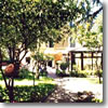 The gardens at the Hotel Villa San Pio in Rome, Italy