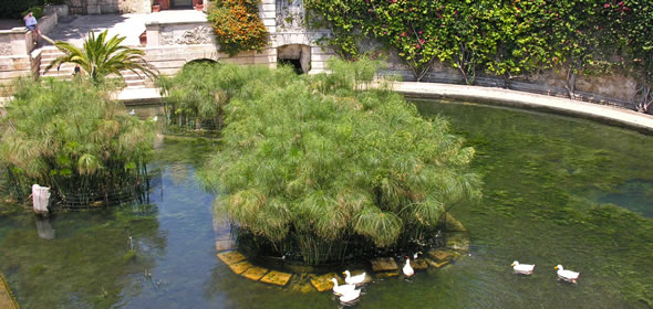 Fonte Aretusa fountain, Siracusa