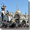 The pigeons of St. Mark's Square in Venice