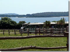 A tiny tram trundles tourists around Tito's private playground of Brijuni