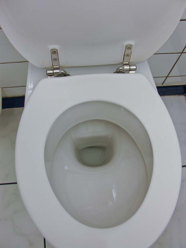 An Austrian/German toilet