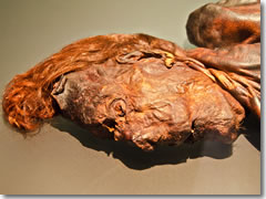Clonycavan Man, a 2,400-year-old peat bog man from Ireland at the National Museum of Ireland: Archaeology and History