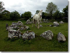 Across the road from the official Carrowmore archaeological site charging $2.35 are even better-preserved remains of ancient stone circles on farmland, where horses graze and admission is free