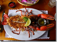 A baked lobster at Cook's Lobster House on Bailey Island, Maine.