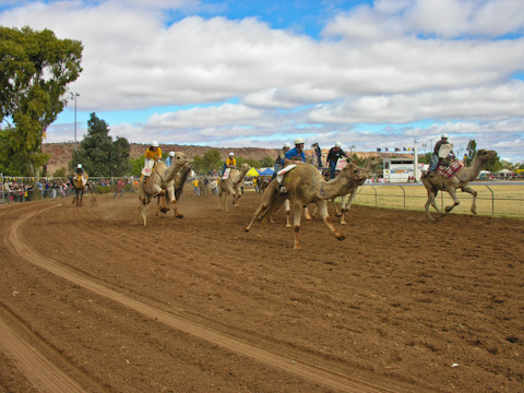 The Camel Cup Alice Springs, Australia