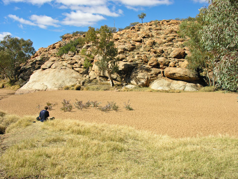 The not-really-a-spring after which Alice Springs was named, Australia