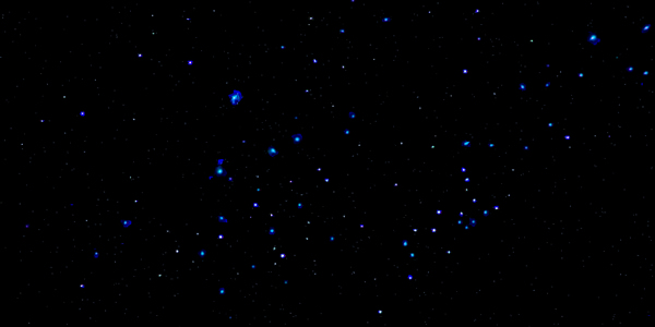 Glowworms in New Zealand
