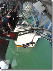 Auckland bridge bungy