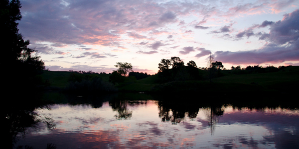 Sunset before the kayaking tour to Marino, North Island, New Zealand