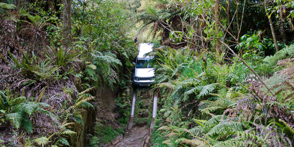 4x4 rotorua safari