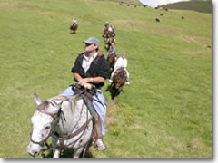 Horseback riding on Hawaii's Big Island