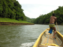 Expert Embera boatman Olmedo helps pole his up piragua (dugout canoe) up the Rio Chagres through the Panamanian jungle.