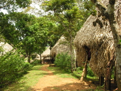 The Embera village of Tusipono on the Chagres River in the jungles of Panama.
