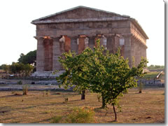 The Temple of Neptune at Paestum.