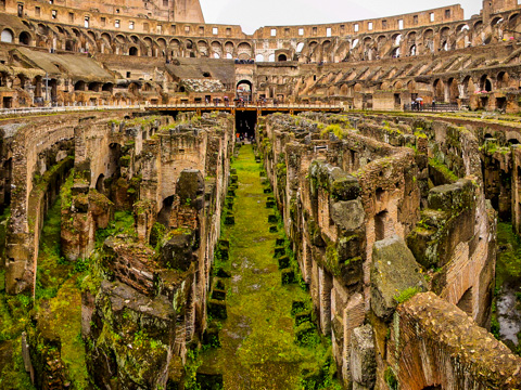 Tour the lower halls of the Colloseum.