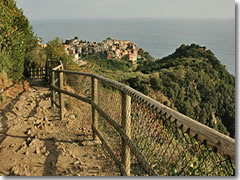 The Cinque Terre path from Vernazza into Corniglia