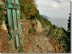 Finding the Cinque Terre trail (this is the stretch between Vernazza and Corniglia) is easy; just follow the white-and-red blazes.