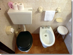 Left: toilet. Right: bidet. Do not mix them up.