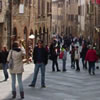 Siena guided tours